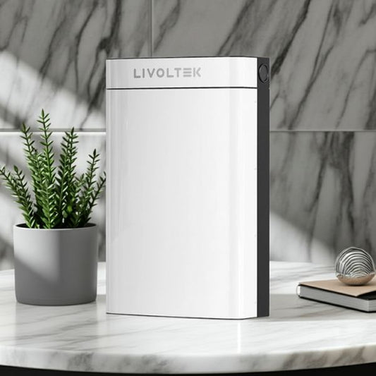 Batería Residencial BLF51-5 Litio 51,2V 100Ah Bajo Voltaje - TU ULTIMO CLIC
