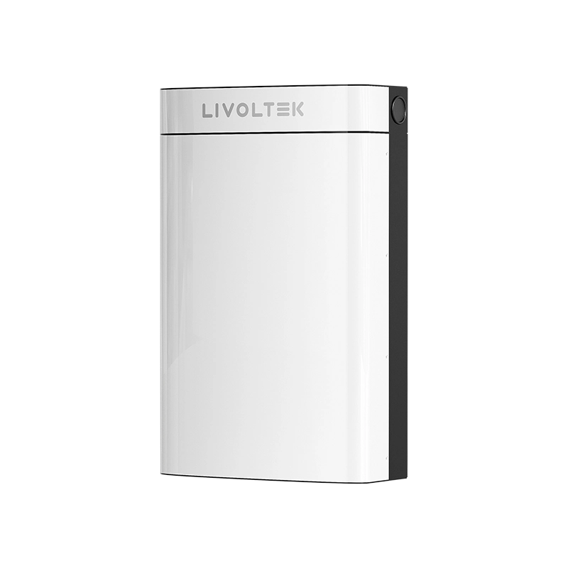 Batería Residencial BLF51-5 Litio 51,2V 100Ah Bajo Voltaje - TU ULTIMO CLIC