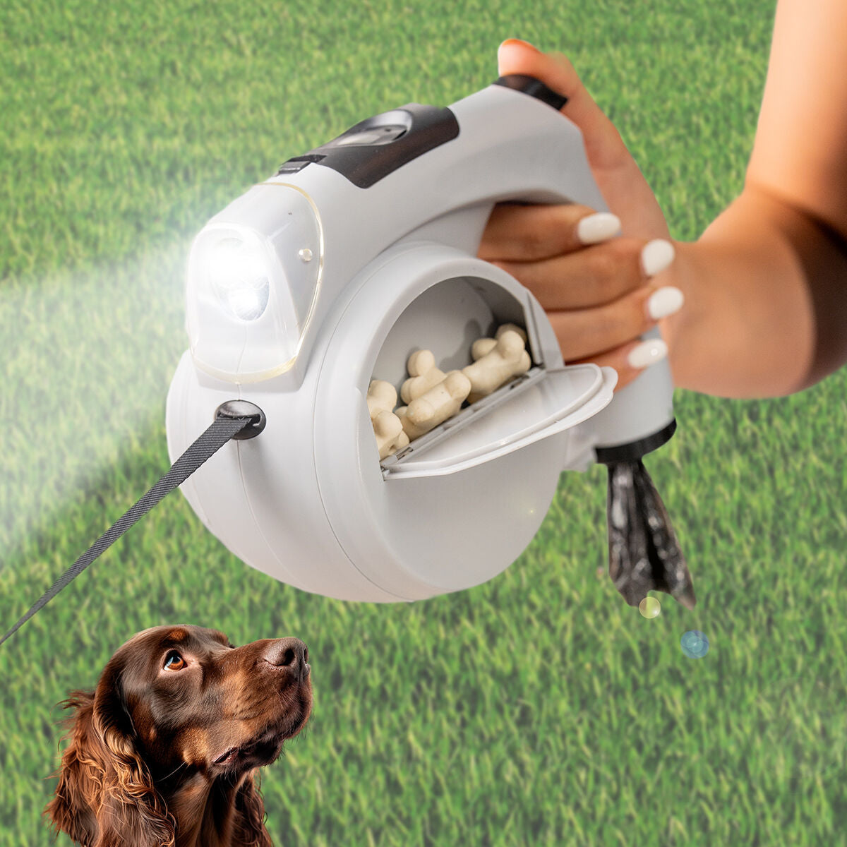 Correa Retráctil Leashic